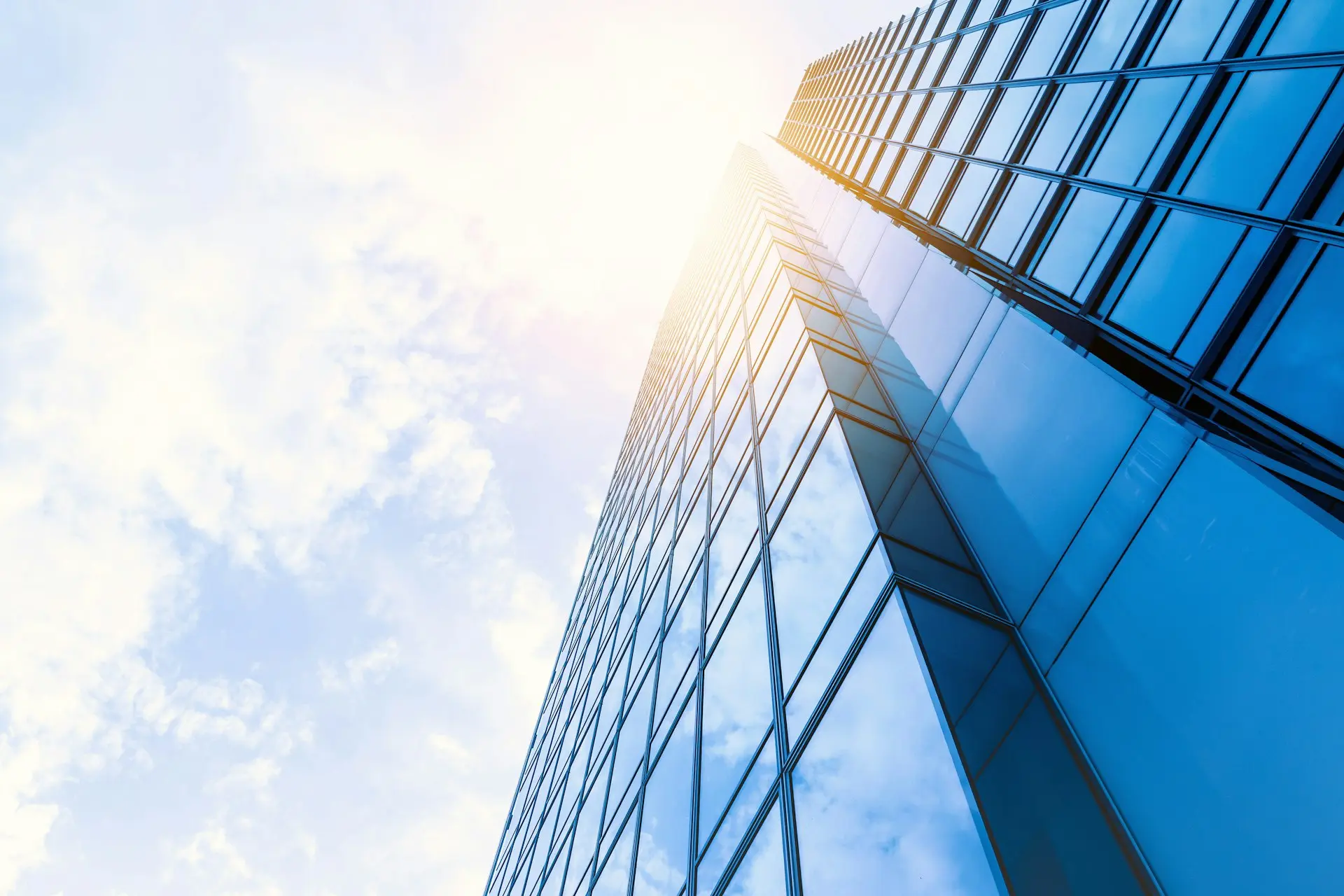 Startup Business Consulting